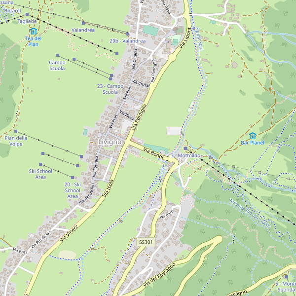 Thumbnail mappa taxi di Livigno