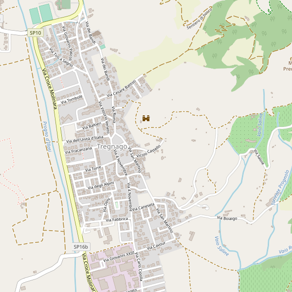 Thumbnail mappa ospedali di Tregnago