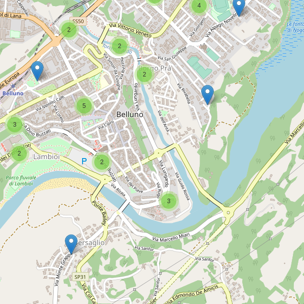 Thumbnail mappa parcheggi di Belluno
