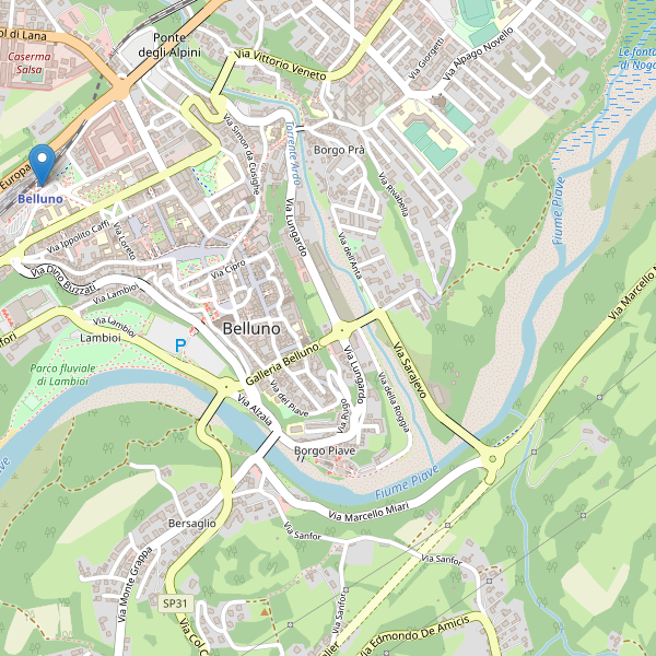 Thumbnail mappa taxi di Belluno