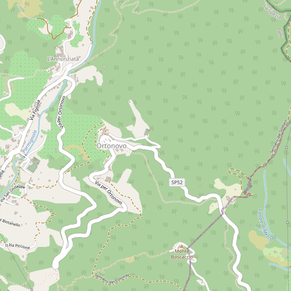 Thumbnail mappa stradale di Ortonovo