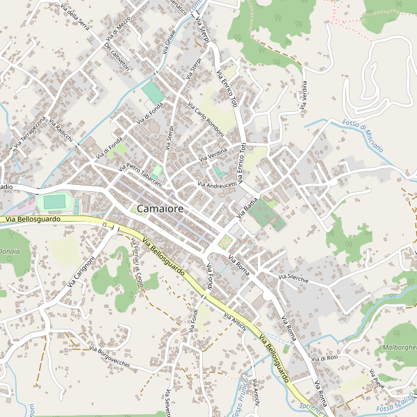 Thumbnail mappa stradale di Camaiore