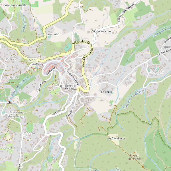Thumbnail mappa stradale di Capoliveri