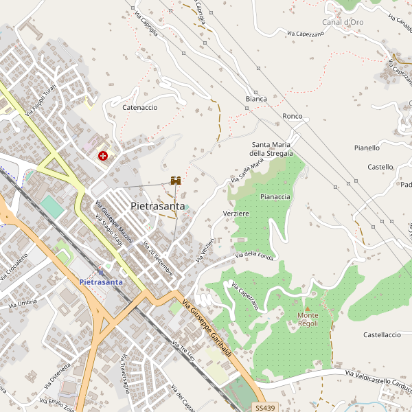 Thumbnail mappa stradale di Pietrasanta