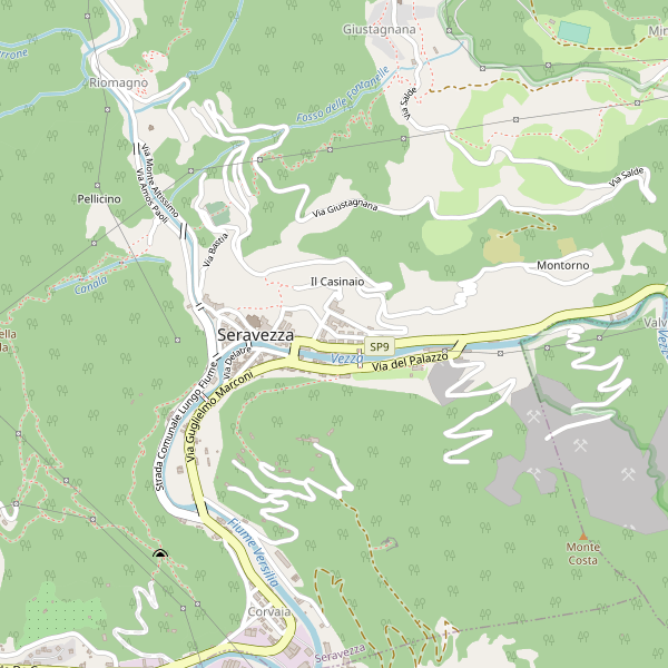 Thumbnail mappa stradale di Seravezza