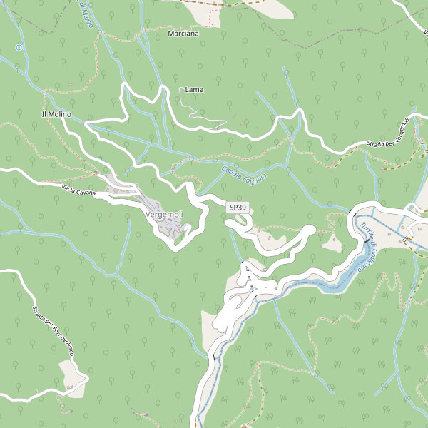 Thumbnail mappa hotel di Vergemoli