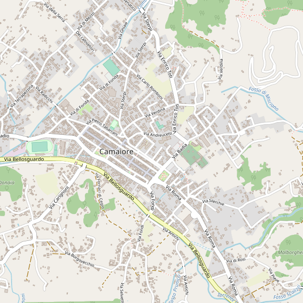 Thumbnail mappa calzature di Camaiore