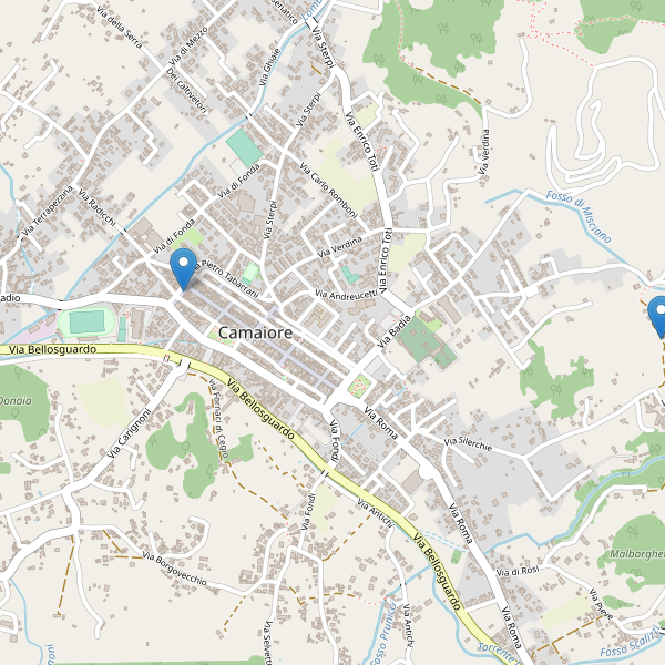 Thumbnail mappa hotel di Camaiore