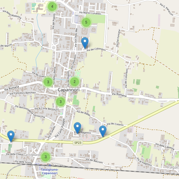 Thumbnail mappa parcheggi di Capannori
