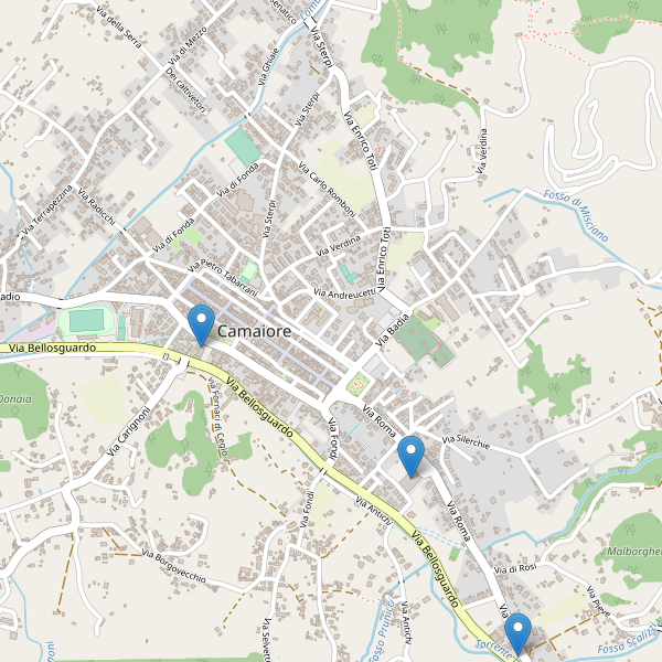 Thumbnail mappa supermercati di Camaiore