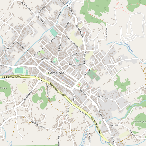 Thumbnail mappa taxi di Camaiore