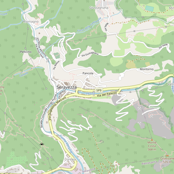 Thumbnail mappa taxi di Seravezza