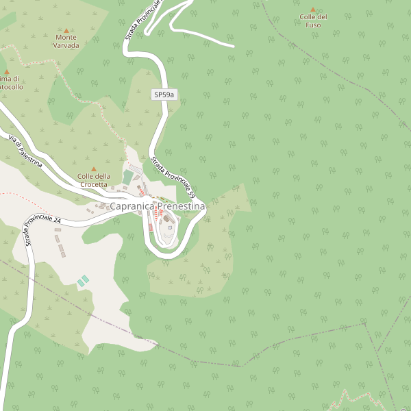 Thumbnail mappa stradale di Capranica Prenestina