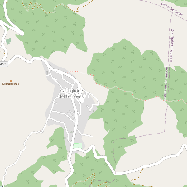 Thumbnail mappa stradale di Castiglione del Genovesi